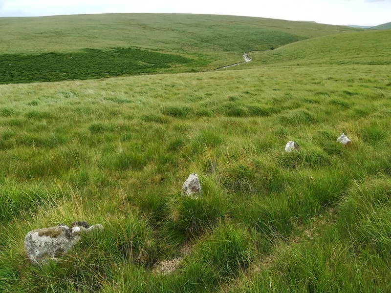 Upper Erme Row, The Row near the large cairn looking South East

