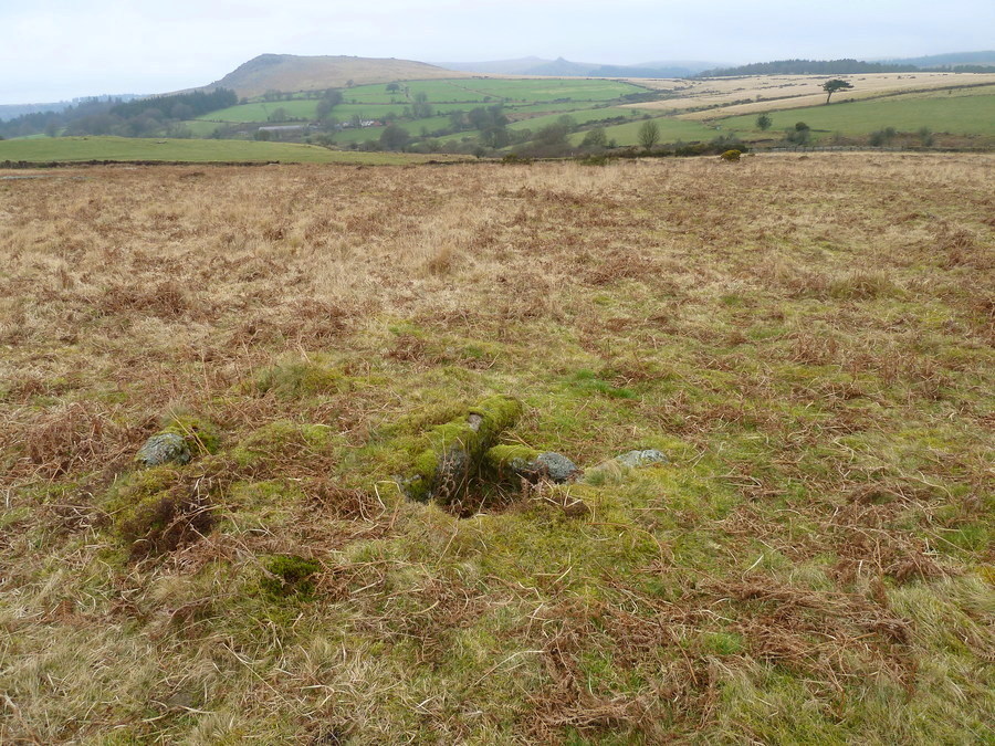 Gutter Tor north cist, Sheeps tor is in the background on the left.