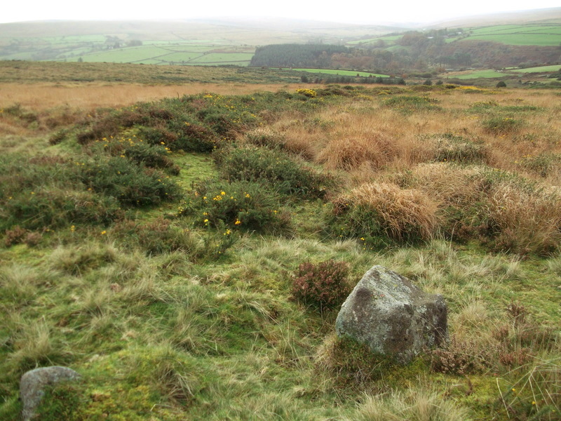 Stones in the bank of Huccaby Rings Outer.