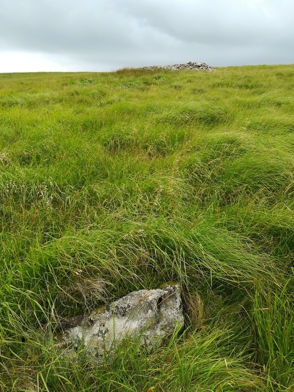 Upper Erme Row looking West towards the large Cairn (in the background), The large (for this Row) Stone in the foreground is a holed stone, I don't know if this has been noted before by anyone, I imagine it has