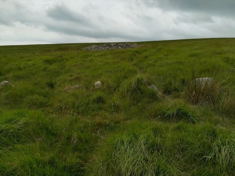 Upper Erme Stone Row as it passes the Cairn