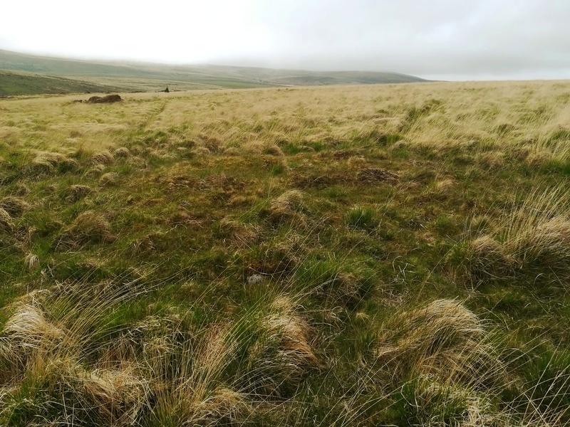 The nearby cairn at SX653856