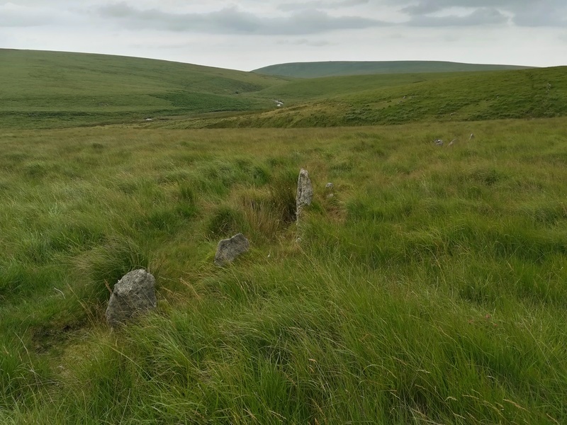Upper Erme Stone Row at SX637654, Looking South