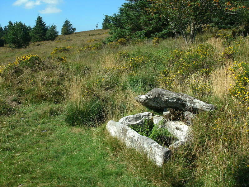 The pretty little Thornworthy Cairn and cist.