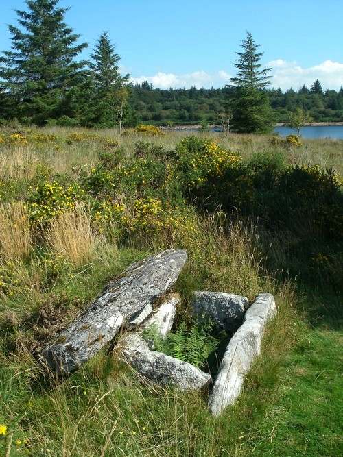 The lovely Thornworthy Cairn and cist.