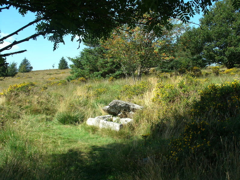 Thornworthy Cairn and cist.