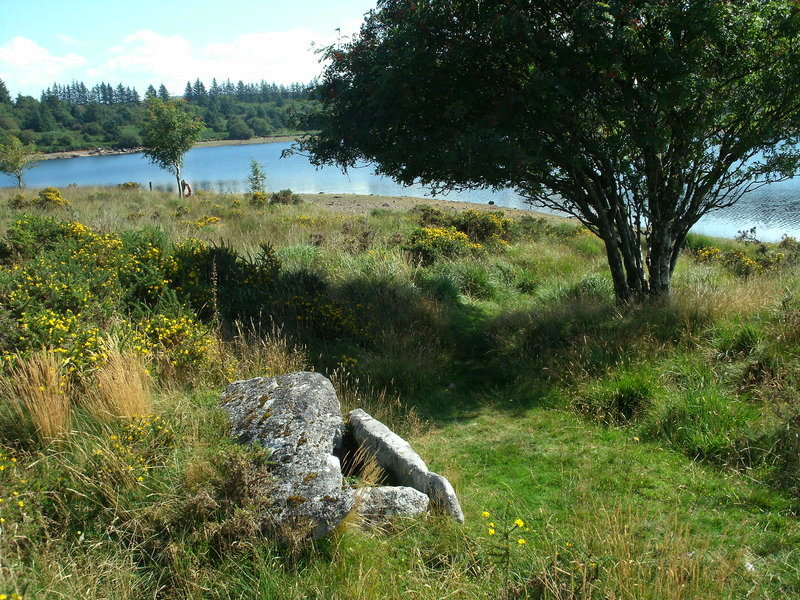Thornworthy Cairn and cist.