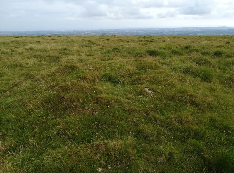 A Cairn found just to the West of the Ringcairn