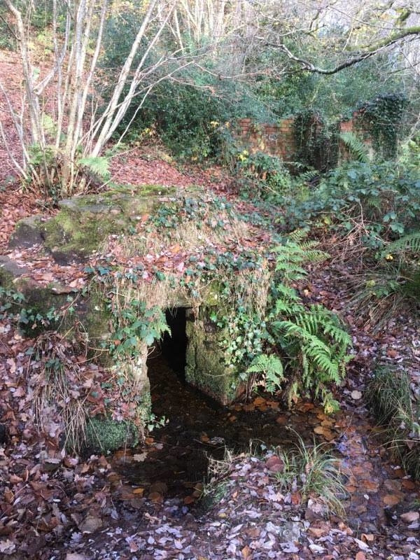 The well housing and pump house as they appeared on the afternoon of 26/11/18, barely visible amongst the undergrowth and trees.