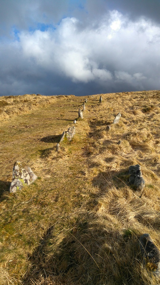Double stone row on Shovel down in May 2016