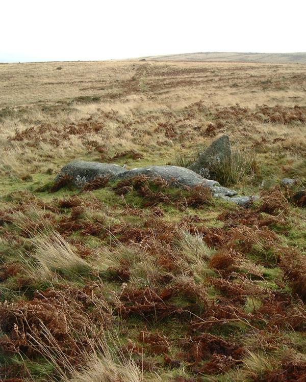 Holne Moor Stone Row. 

Triple Stone Row SX 6743 7106 150 m long. Most of the stones hardly show above the peat. There is a fallen 3.4m longstone at the Western end. The row 
azimuth is 112. 

Viewed here looking east from the fallen longstone.