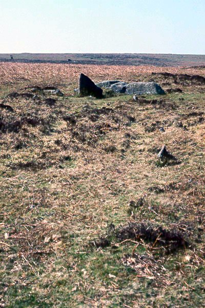 Holne Moor Stone Row. 

Triple Stone Row SX 6743 7106 150 m long. Most of the stones hardly show above the peat. There is a fallen 3.4m longstone at the Western end. The row 
azimuth is 112. 

Viewed from the lower Eastern end the fallen longstone & companions would have been prominent cutting the western skyline. Declination for western skyline is 15.57. Star spica 3200 BC or May Day sunset?