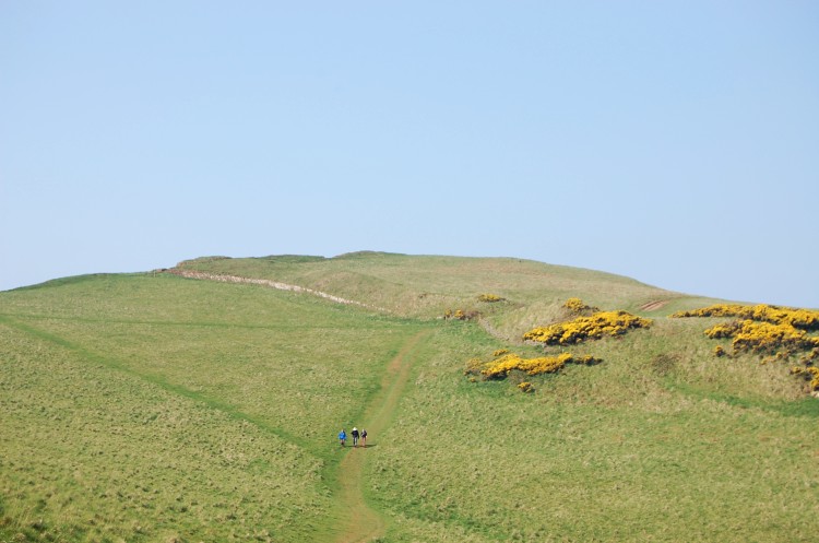 The hillfort on Bolt Tail is approx. 60 metres above sea level. It is owned and maintained by the National Trust so expect to come across many walkers if the weather is nice.