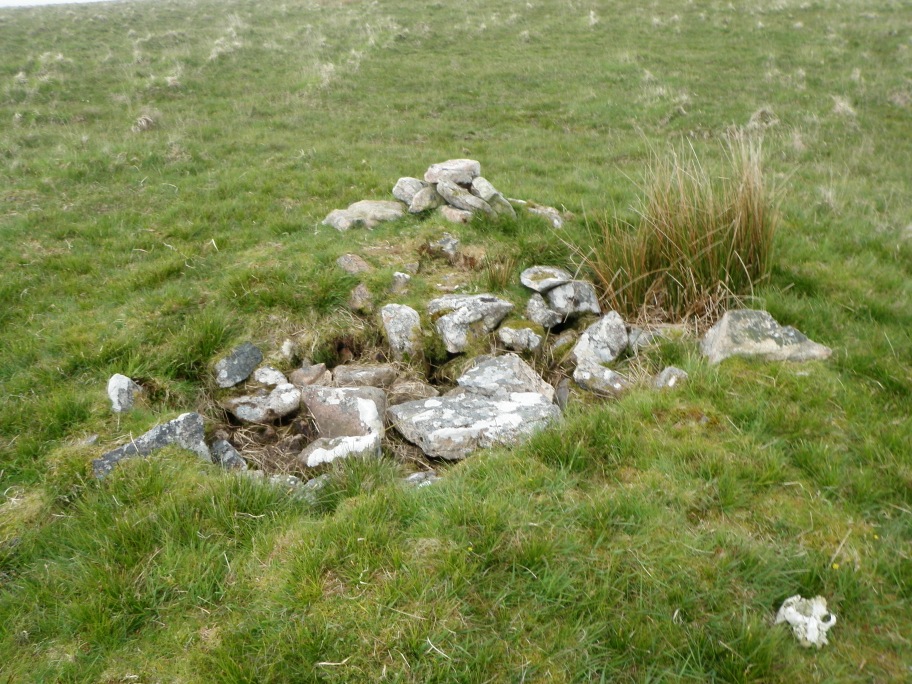 Small hole dug in to one side of the cairn that has revealed the stones that make up the cairn before the excavations was abandoned in 1898 because of bad weather.