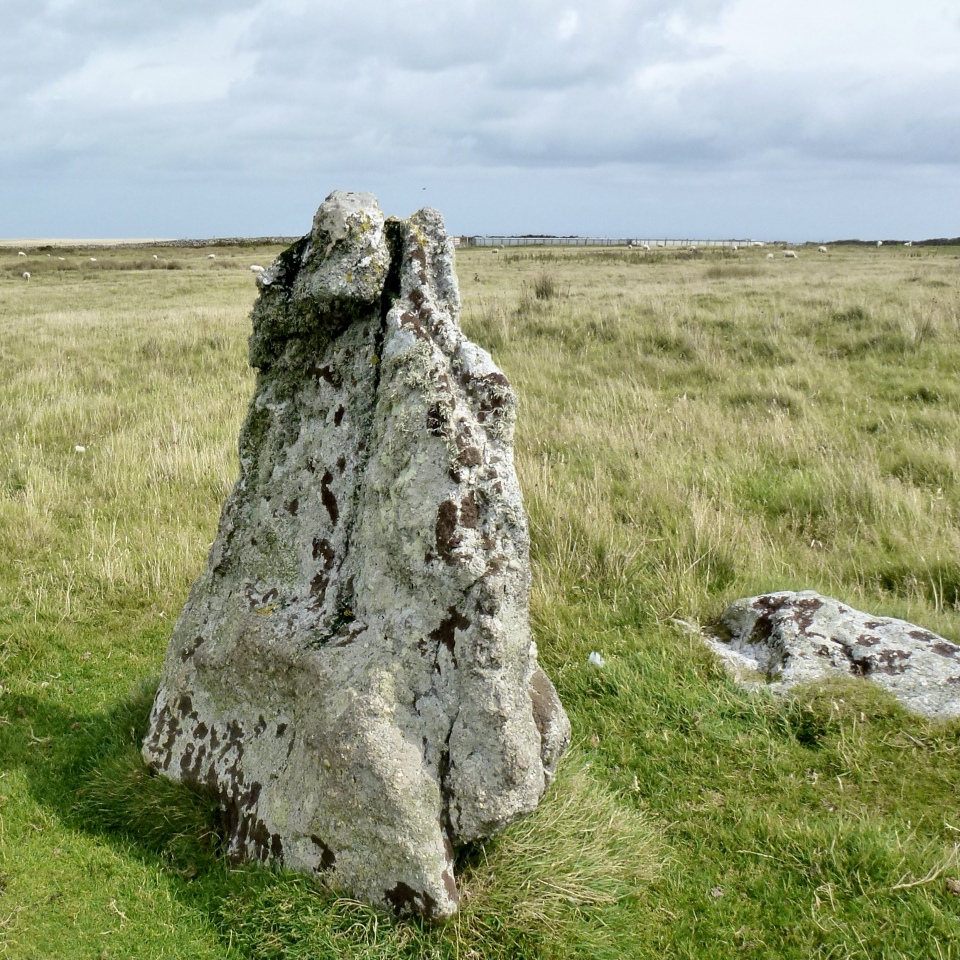 Standing stone, Ackland's Moor, Lundy Island. 