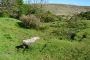 Holy Well (Belstone) - PID:198422