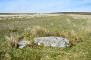 Drizzlecombe cist 22 - PID:200065