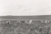 Ringmoor Down stone circle - PID:12599