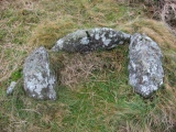 Butterdon Hill Cist - PID:158932