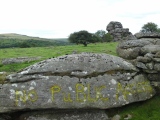 Vixen Tor - PID:246913