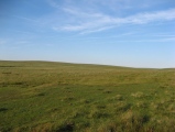 Langstone Moor Cairn Circle - PID:205461