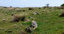 Burford Down Stone Row - PID:191061