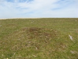 Drizzlecombe Cairn 23 - PID:200056