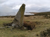 Harbourne Head Standing Stone - PID:254702