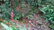Uton Holy Well - PID:249619
