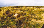 Mardon Down Cairn 3