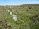 Black Tor (Meavy) - PID:197789