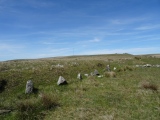 Black Tor (Meavy) - PID:197790