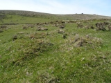 Black Tor Stone Row Cairns (Stanlake) - PID:197801