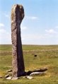 Drizzlecombe menhir 2 - PID:37683