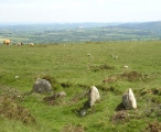 Cosdon Hill Multiple Stone Rows - PID:7704