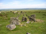 Cosdon Hill Multiple Stone Rows - PID:7689