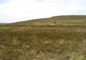 White Moor Cairn - PID:7741