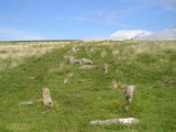 Hart Tor north rows - PID:7786