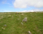 Hart Tor north rows - PID:7784