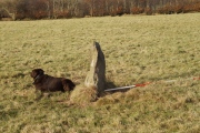 Parracombe Standing Stone - PID:160203