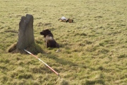 Parracombe Standing Stone - PID:160200