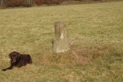 Parracombe Standing Stone - PID:160202