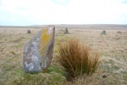 Ringmoor Down stone circle - PID:46794