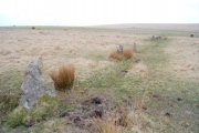 Ringmoor Down Stone Row - PID:46789