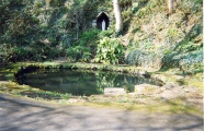 St. Brannoc's Holy Well (Braunton) - PID:12684