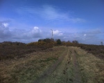 Aylesbeare Common tumulus - PID:31085