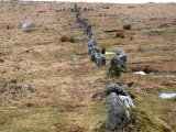 Down Tor stone row - PID:177236