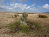 Ringmoor Down stone circle - PID:108510