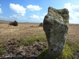 Ringmoor Down stone circle - PID:108497