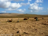 Ringmoor Down stone circle - PID:108507